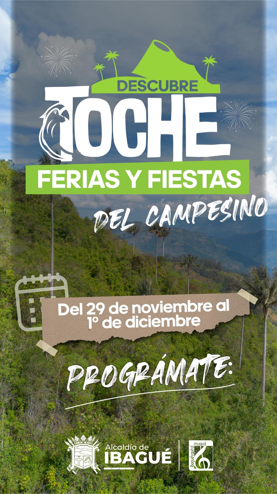 ferias_y_fiestas_del_campesino_toche.jpeg
