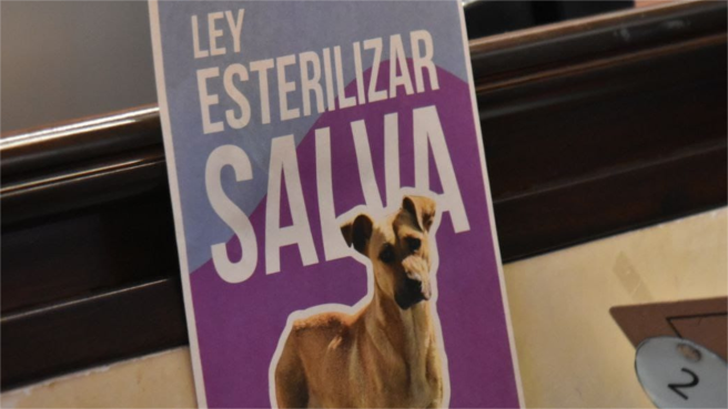 La esterilización de perros y gatos pasó en la Cámara de Representantes