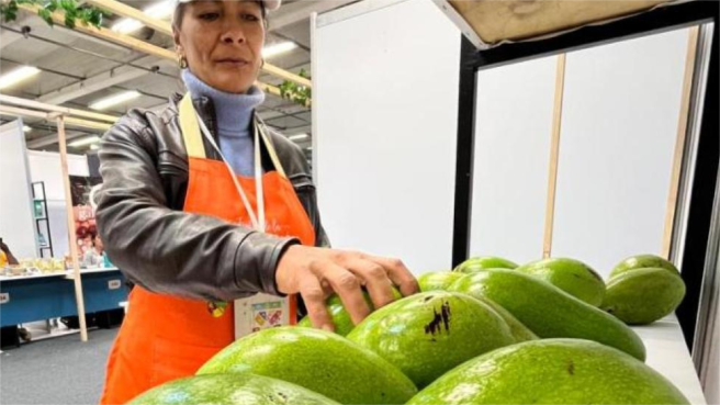 Contacto directo entre campesinos y compradores en Mejor Colombiano.