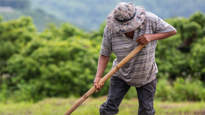 Campesinos deben ser parte fundamental de la reforma agraria