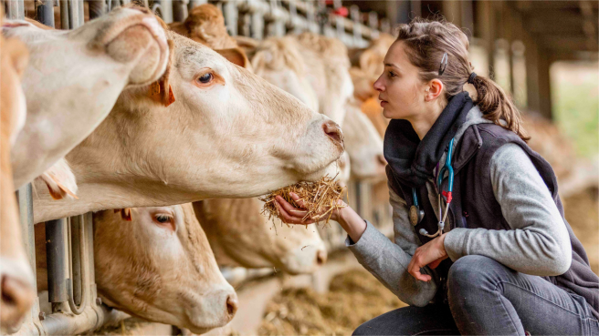 En Colombia, se estima que hay unos 6.600 profesionales inscritos, entre médicos veterinarios y zootecnistas.