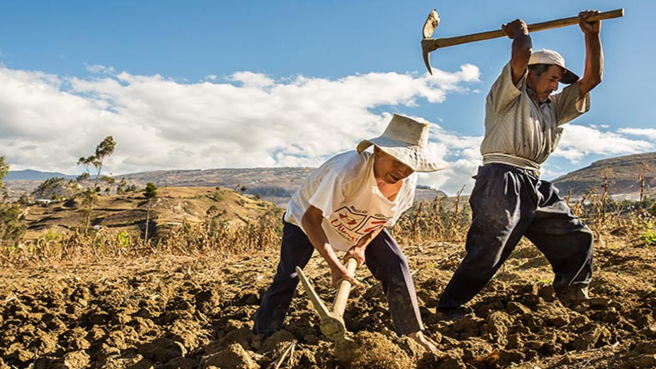 Según el Dane, la pobreza en el campo colombiano dismimnuyó en 2023