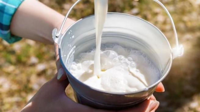 Bajan losminventarios de leche en el país en beneficio de los productores