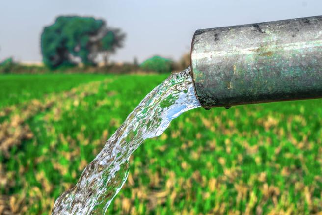 En caso de precipitaciones, recoja toda el agua lluvia posible para usarla en sus cultivos. Evite también el desperdicio de agua en su casa y reutilizarla en las labores diarias. 