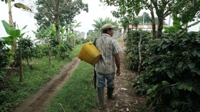campesinos