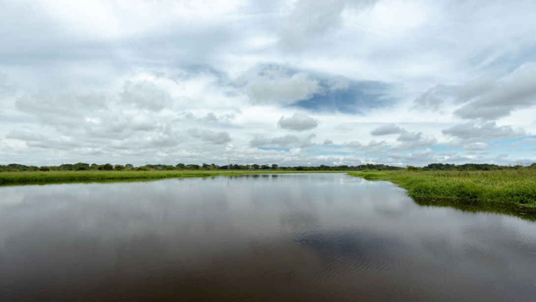 Eco-reserva Centenario la Pácora