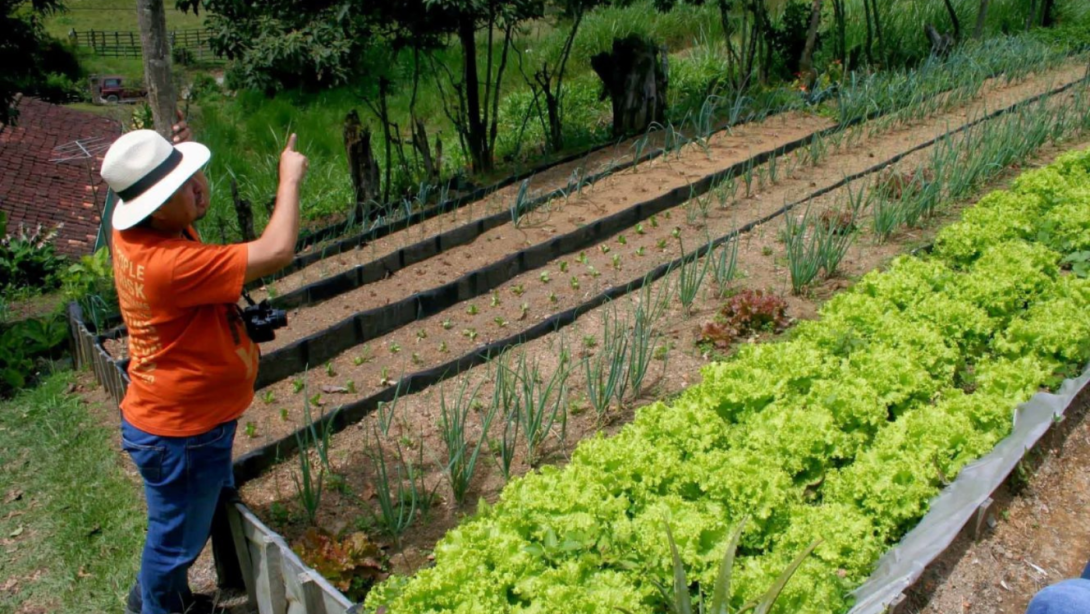 vale la pena resaltar la inclusión de Colombia en la Red Regional de Sistemas Públicos de Abastecimiento de Alimentos