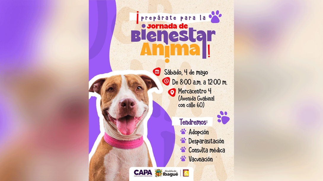 Cartel