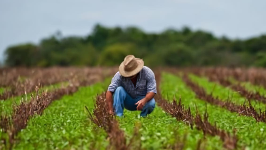 El agro fue el sector productivo que más creció en el ISE de abril