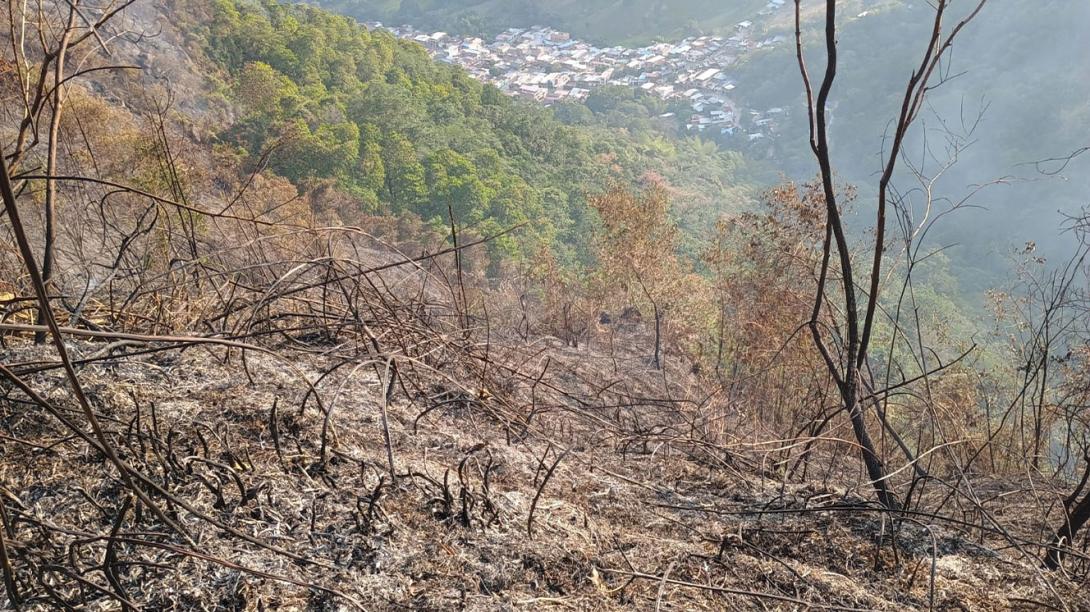 incendio-gaviota.jpg