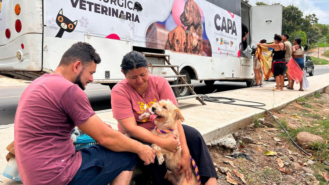 unidad-quirurgica-veterinaria-capa.jpg