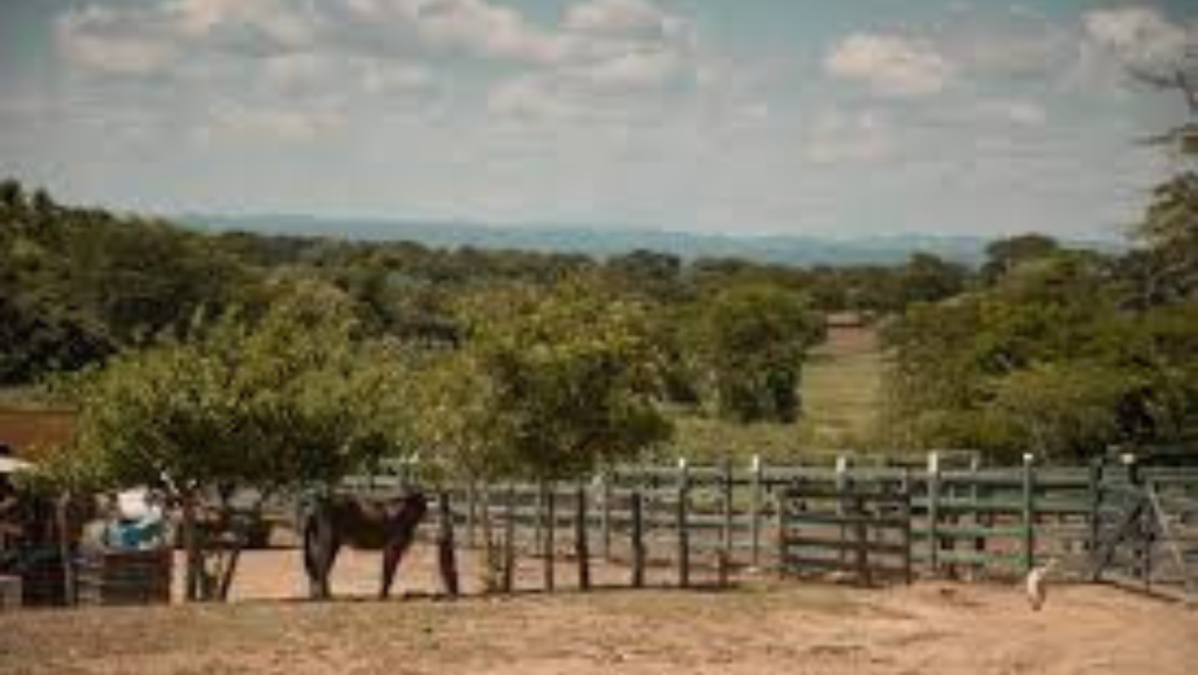 La ANT adquirió predios con suelos inadecuados para la producción agropecuaria.