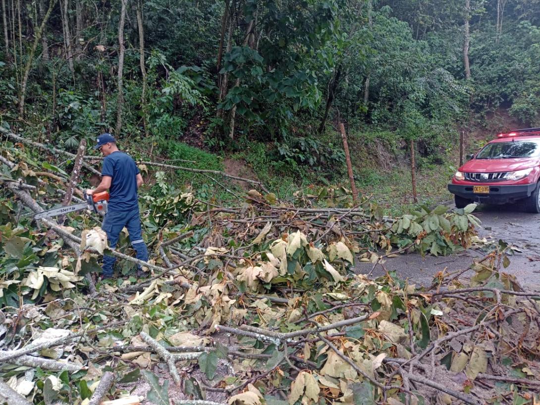 Emergencias